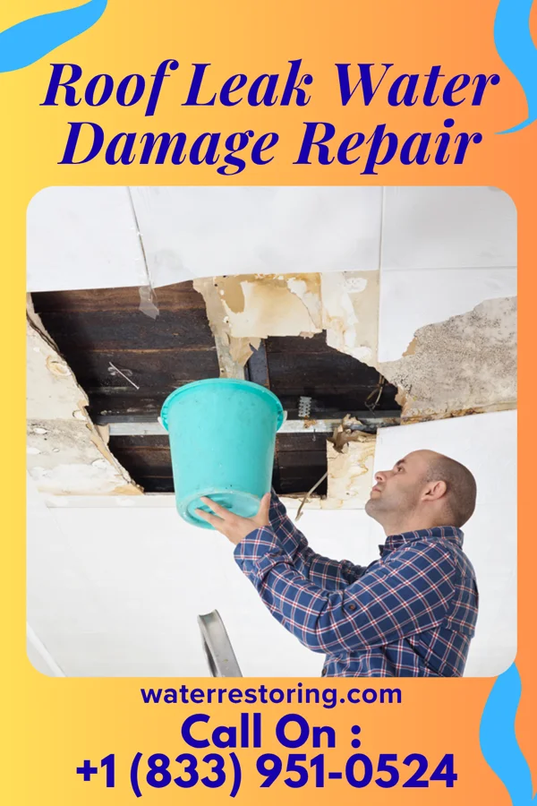 Roof Leak Water Damage Repair in Montrose, SD